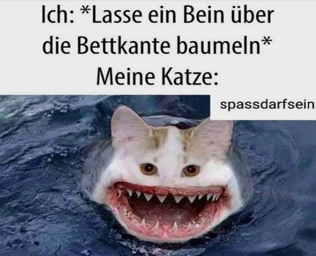 beste-zweideutig-lustige-spruche-status-zitate